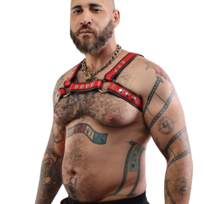 Focus Bulldog Harness